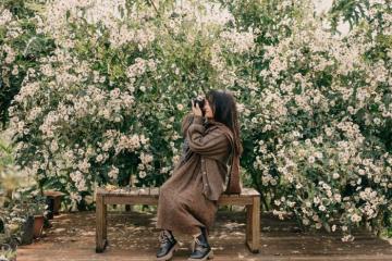 Mùa hoa dã quỳ trắng Đà Lạt vẻ đẹp bình dị mà tinh khôi