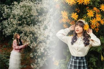 Ghé các quán cà phê ngắm hoa dã quỳ ở Đà Lạt bâng khuâng giữa sắc vàng hoang dại