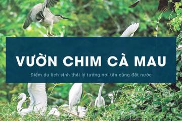 Khám phá Vườn chim Cà Mau: điểm đến bình yên giữa lòng phố thị