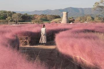 Cách đi từ Busan đến Gyeongju gần và thuận tiện nhất