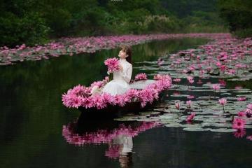 Mùa hoa súng ở Ninh Bình: thời gian và những trải nghiệm không thể bỏ lỡ