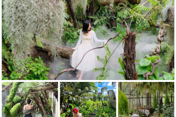 Chụp hết pin ở những quán cà phê rừng nhiệt đới đẹp nhất Việt Nam