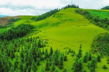 Nào phải trời Âu, đây là thảo nguyên Cốc Sâm Bắc Hà!