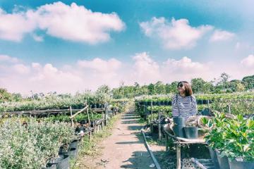 Tuyệt đẹp làng hoa Sa Đéc - Đồng Tháp mùa Tết 2020