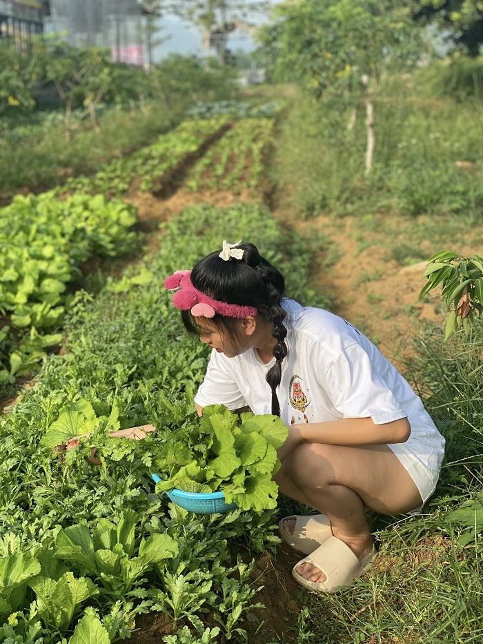 Khu cắm trại An Bình Glamping có vườn rau sạch