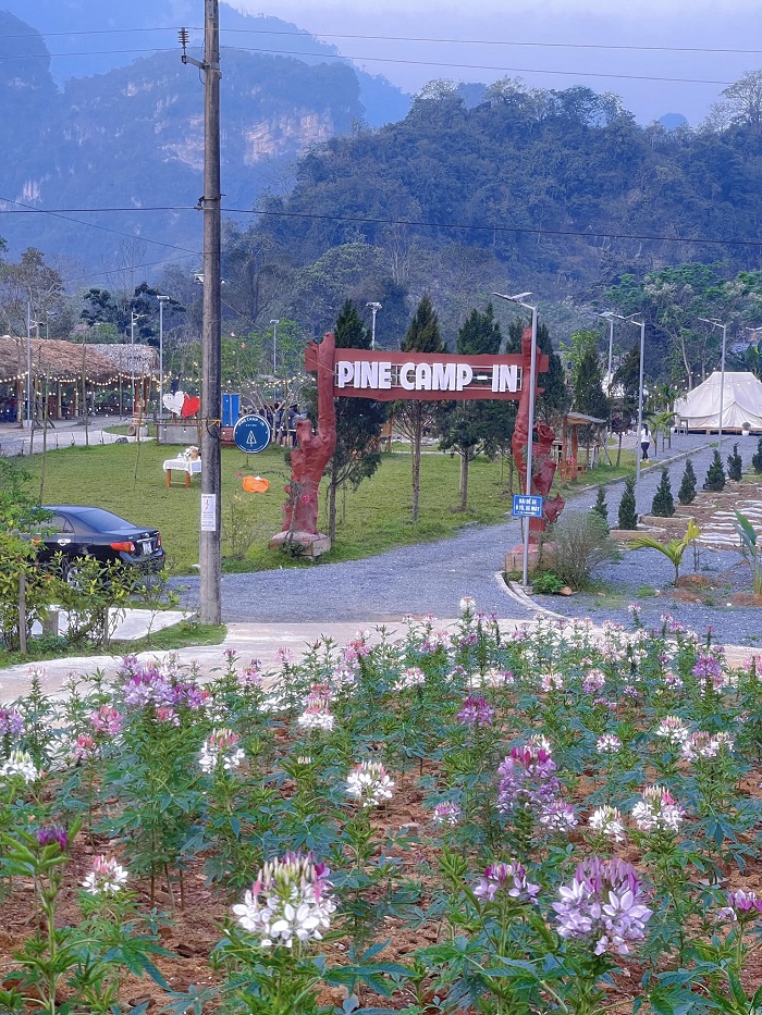 Pine Camping Hà Giang ở đâu?