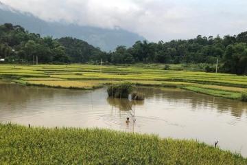 Cất hết muộn phiền, lên xã Bao La Mai Châu Phú Thọ tận hưởng sự bình yên 