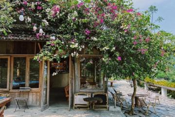 Một chút êm lành ở Xoan Retreat Hòa Bình Phú Thọ