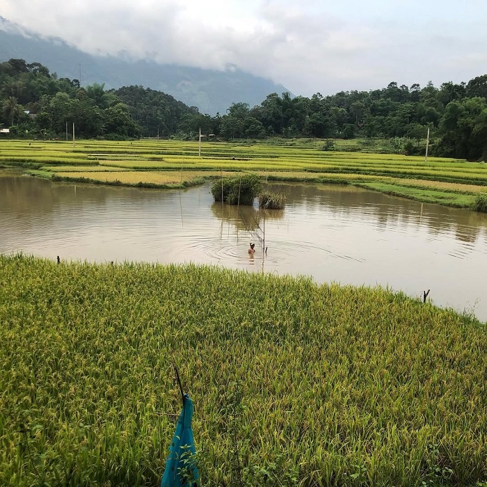 Xã Bao La Mai Châu với gam màu xanh mát lành