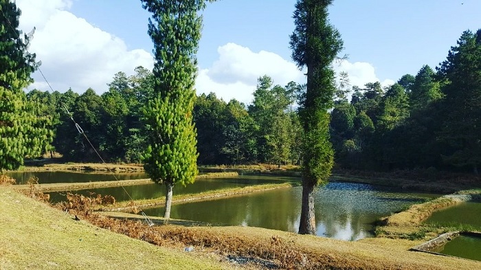 Ao cá Tarin là địa điểm tham quan tốt nhất ở thung lũng Ziro 