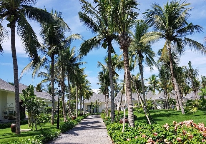 Khám phá bãi Dừa Tư Nghĩa Quảng Ngãi