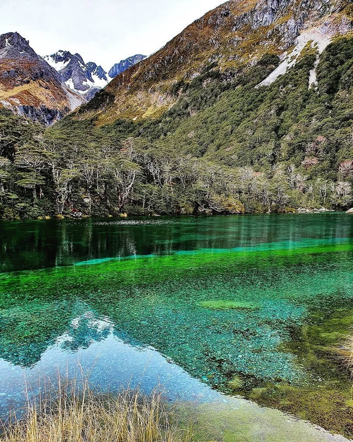 Blue Lake là hồ nước trong nhất thế giới nằm ở New Zealand
