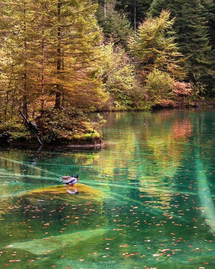 Blausee là hồ nước trong nhất thế giới thu hút nhiều du khách