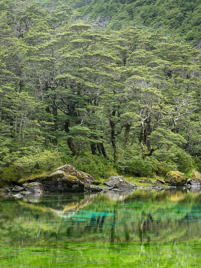 Blue Lake là hồ nước trong nhất thế giới đẹp không thể rời mắt