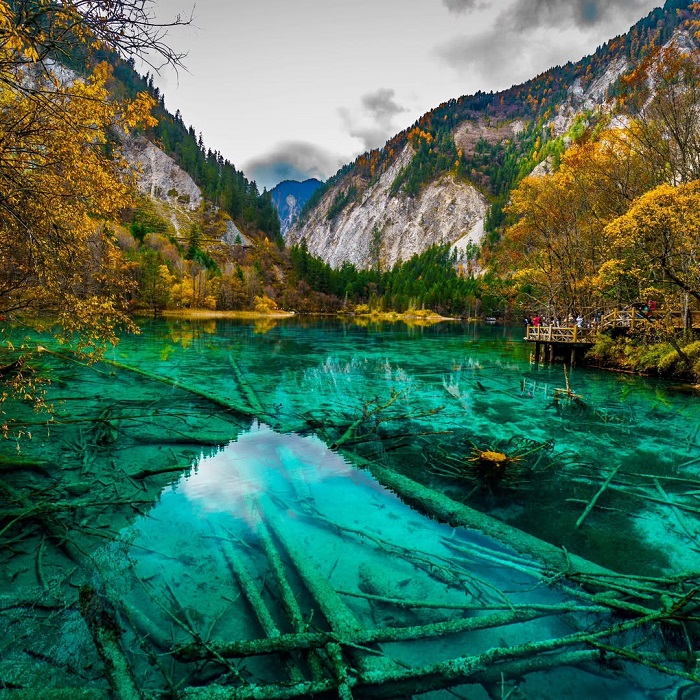 Hồ Ngũ Hoa là hồ nước trong nhất thế giới thuộc danh thắng Cửu Trại Câu