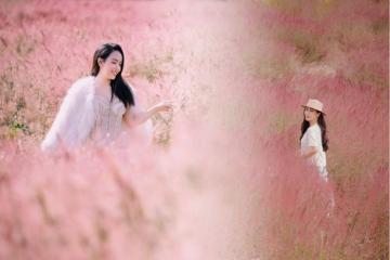 Nhanh tay check-in mùa cỏ lau hồng Đà Lạt đẹp như mơ ngày đầu đông