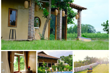 The Valley Farm Lạng Sơn – điểm đến trong lành thư thái cho cả gia đình