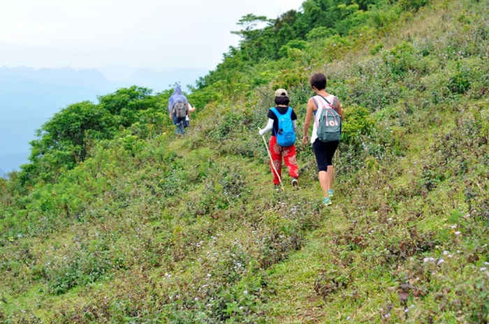 tour đi bộ xuyên rừng tại Thanh Hoá - trekking hòn Con Sói