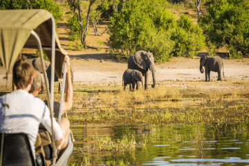 Du lịch châu Phi có an toàn không? Sự thật khiến bạn bất ngờ