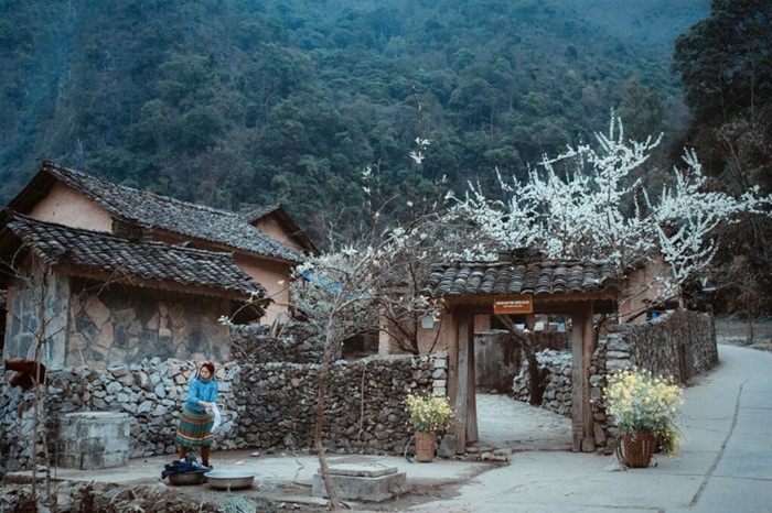 Du lịch Hà Giang theo tour khám phá Nhà của Pao - Ảnh: Xe khách Bằng Phấn