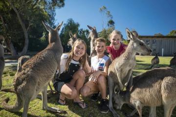 Các hoạt động thú vị ở Úc, bạn nên thử một lần trong đời
