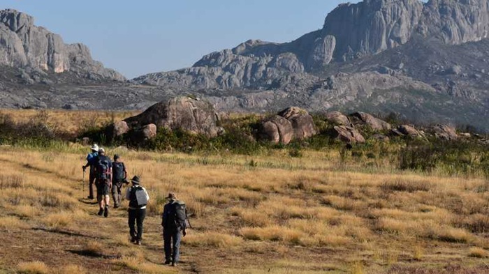 Hệ thực vật ở Madagascar vô cùng phong phú - Ảnh: World Expeditions