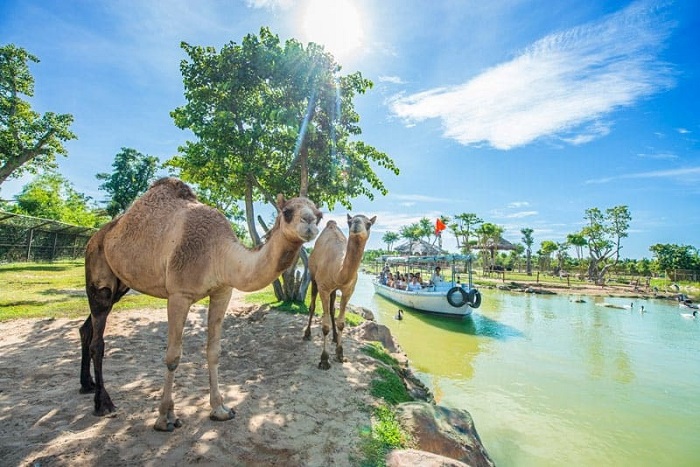 Đến VinWonders Nam Hội An, trẻ em được ngồi trên thuyền, xuôi dòng nước ngắm nhìn động vật hoang dã - Ảnh: Internet