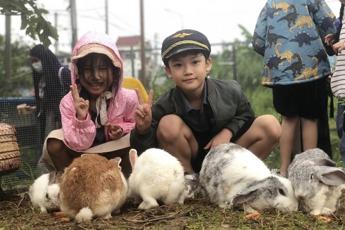 Đến Baby Farm, các bé tự tay quan sát và cho thỏ ăn đem đến trải nghiệm lý thú - Ảnh: Internet
