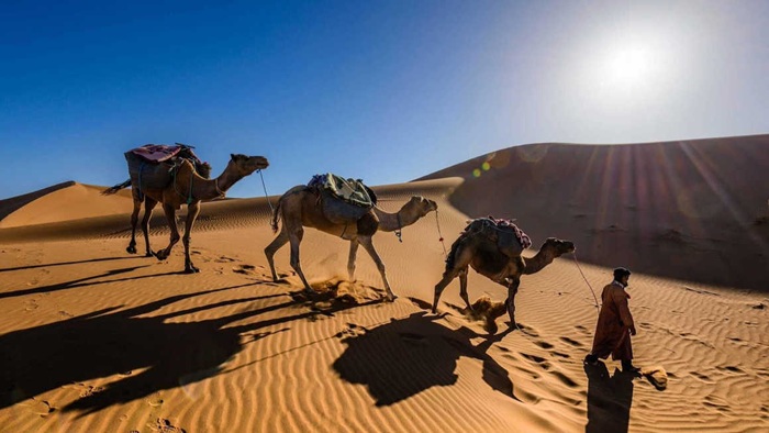 Theo kinh nghiệm tránh sốc nhiệt ở sa mạc Sahara là nhiệt độ ban ngày và ban đêm chênh lệch rõ rệt - Ảnh: Kandoo Adventures