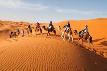 Kinh nghiệm tránh sốc nhiệt ở sa mạc Sahara, bạn nên bỏ túi