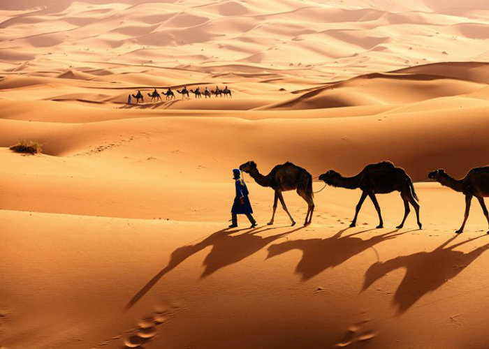 Cưỡi lạc đà ở sa mạc Sahara - Ảnh: Vietfoot Travel