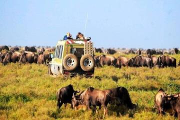 Vẻ hoang dã đầy mê hoặc các kỳ quan thiên nhiên ở Châu Phi