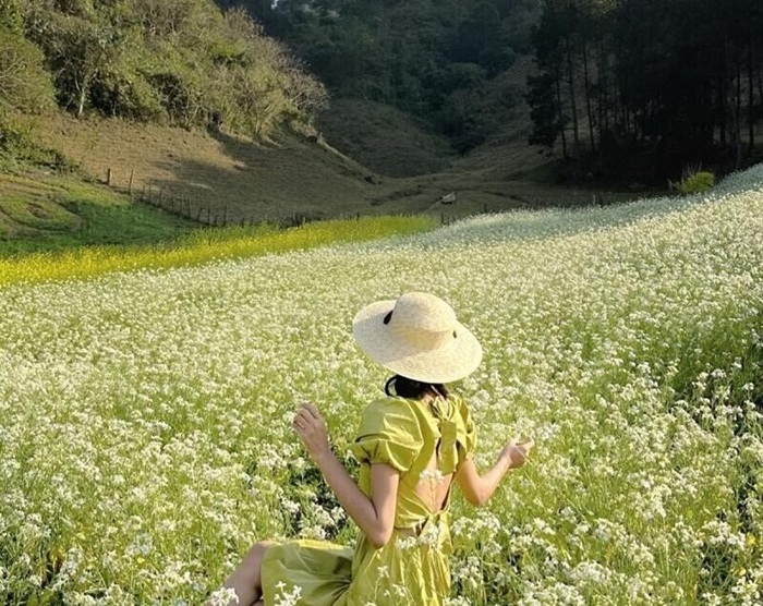Mộc Châu có gì chơi? Ghé thăm Mộc Châu mùa hoa cải trắng - Ảnh: Eco Tour