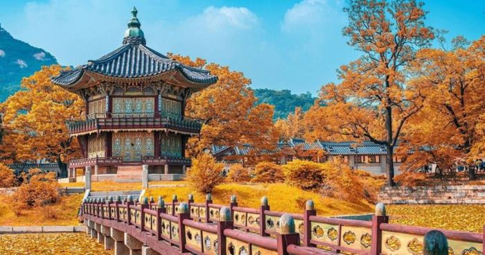 Tin tưởng Lữ Hành Việt Nam để có tour du ngoạn Hàn Quốc hấp dẫn