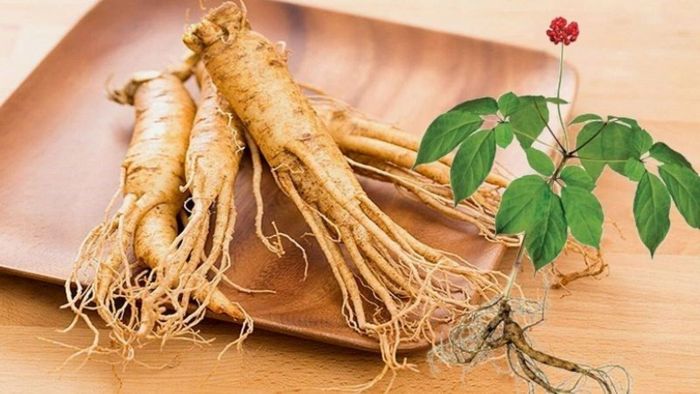 Chọn nhân sâm làm quà tặng sức khỏe ý nghĩa sau chuyến đi