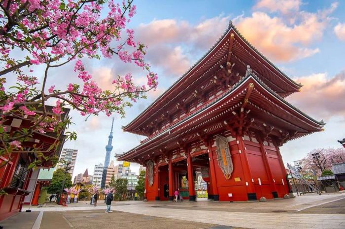 Ưu tiên book tour Nhật Bản có các điểm đến phù hợp sở thích