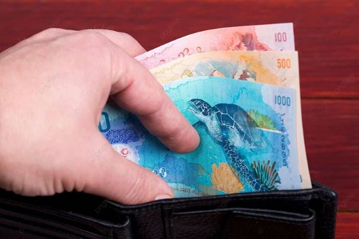 Mang theo tiền mặt là điều cần chú ý khi bạn mua sắm ở Maldives 