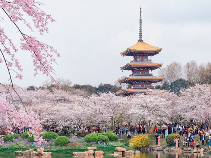 Đăng ký tour Vũ Hán Tại Lữ Hành Việt Nam để có trải nghiệm thú vị 