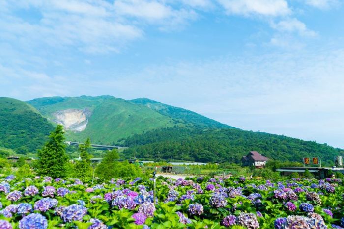 Khám phá công viên Yangmingshan với vô vàn cảnh sắc xinh đẹp (Nguồn: duhocedutime.edu)
