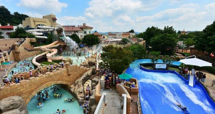 Book tour Everland cần chọn công ty lữ hành đáng tin, giàu kinh nghiệm (Nguồn: idcedu.com.vn)