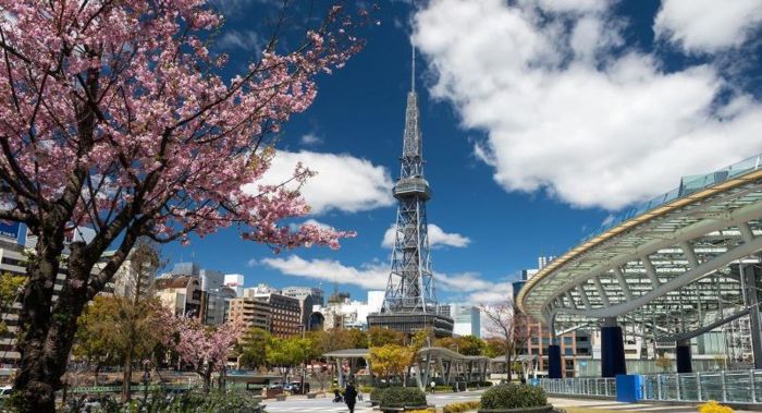 Chọn mùa Xuân để có chuyến du lịch Nagoya thú vị, trọn vẹn (Nguồn: edition.cnn)
