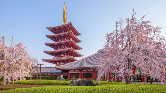 Chọn tour Tokyo cần tìm công ty du lịch giàu kinh nghiệm