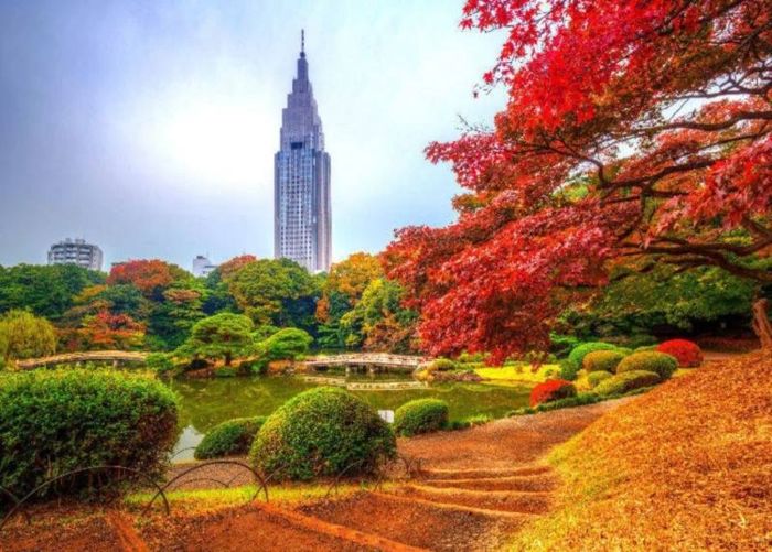 Khung cảnh lãng mạn, thơ mộng của Tokyo khi mùa Thu