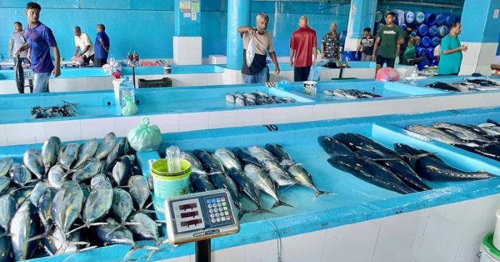 Trải nghiệm văn hóa địa phương khi đến chợ cá ở Male 