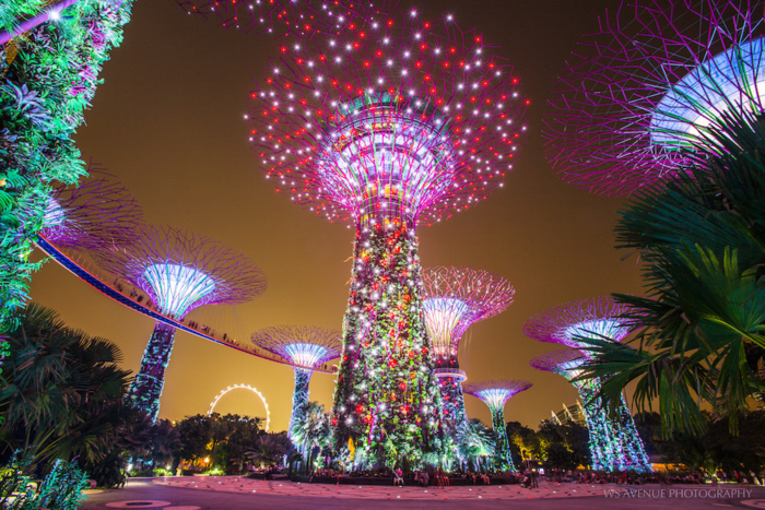 Supertree Grove lung linh dưới ánh đèn