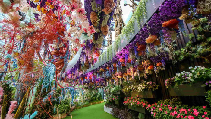 Mái vòm hoa (Flower Dome) rộng khoảng 1ha