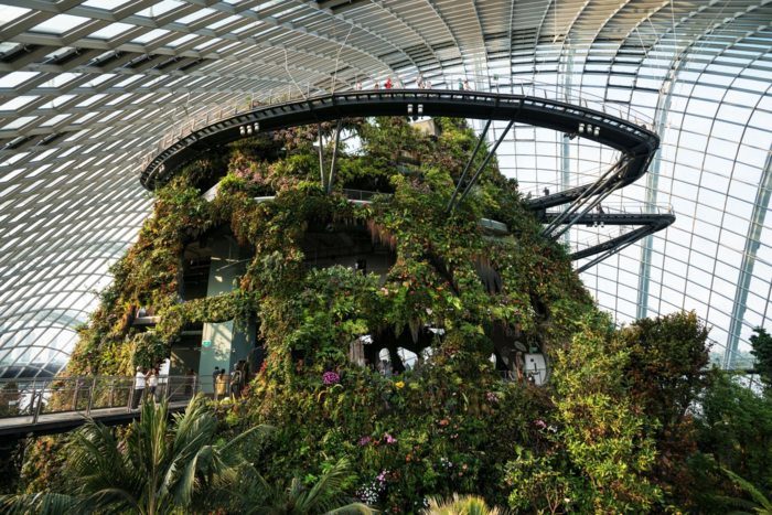 Khu phức hợp nhà kính (Conservatory Complex) hội tụ hàng trăm nghìn loài thực vật từ khắp nơi trên thế giới