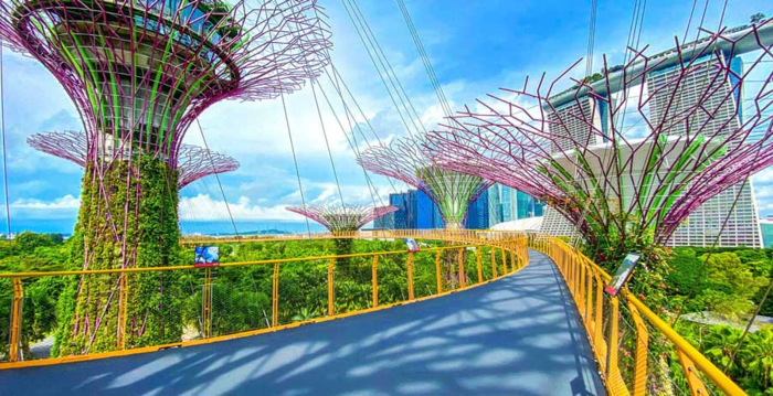 OCBC Skyway cây cầu trên cao dài 128m