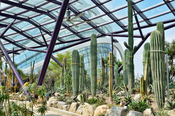 Sun Pavilion khu vườn xương rồng