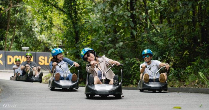 Skyline Luge Sentosa - Trải nghiệm đua xe trượt thú vị